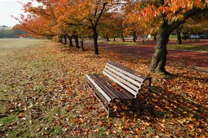 East Garden Of Osaka Expo Wallpaper