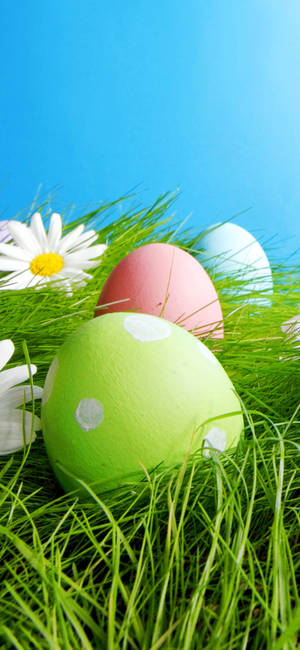 Easter On Grass Phone Wallpaper