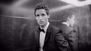 Eddie Redmayne, Acclaimed British Actor Wallpaper