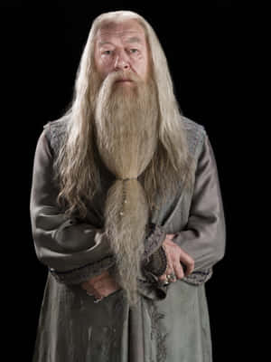 Elderly Wizard Costume Portrait Wallpaper