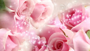 Elegant And Vibrant Red Rose Wallpaper