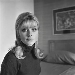 Elegant Sharon Tate In Classic Turtleneck Wallpaper