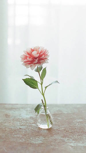 Elegant Vintage Flower Vase Wallpaper