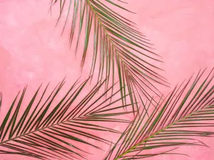 Emanate Tranquility With This Pastel Pink Aesthetic Computer Wallpaper. Wallpaper