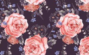 Embrace The Beauty Of Pink Roses! Wallpaper