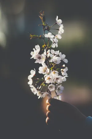 Embrace The Magic Of April Wallpaper