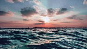 Embrace The Summer Season With A Stunning Laptop Wallpaper