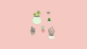 Embrace Tranquility - Lovely Potted Plant Collection In An Aesthetic Décor. Wallpaper