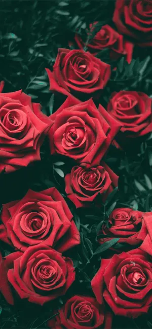 Embrace Your Inner Darkness For A Striking Goth Aesthetic Wallpaper