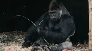 Embrace Your Power Wallpaper