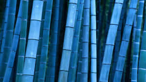 Embrace Zen With A Bamboo Desktop Wallpaper