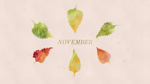 Embracing The Cooler Weather With A Cozy Sweater. Wallpaper