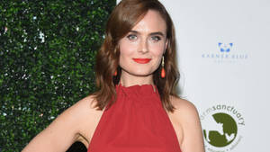 Emily Deschanel Actress Celebrity Wallpaper