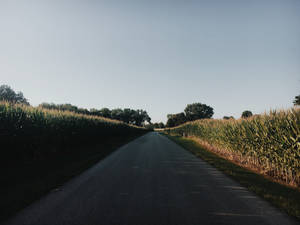 Empty Kentucky Road Wallpaper