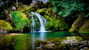 Enchanted_ Forest_ Waterfall_4 K.jpg Wallpaper