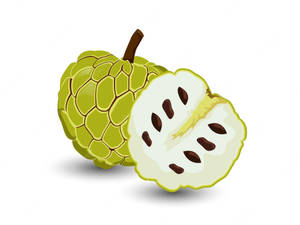 Enchanting Artwork Of Custard Apple Wallpaper