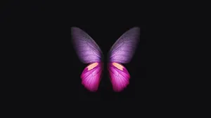 Enchanting Dark Butterfly On A Mysterious Background Wallpaper