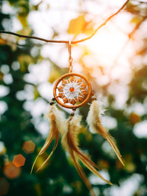 Enchanting Sunrise Through A Dreamcatcher Wallpaper