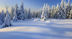 Enchanting Winter Wonderland Wallpaper
