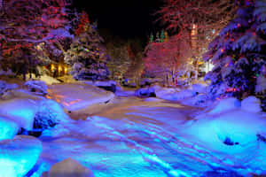 Enchanting Winter Wonderland Wallpaper