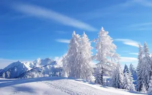 Enchanting Winter Wonderland Scene Wallpaper
