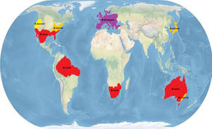 Endemic Countries On World Map Wallpaper