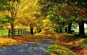 England Countryside In Autumn Wallpaper