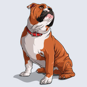 English Bulldog Artwork Wallpaper