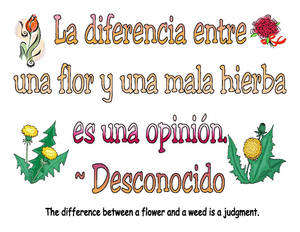 English To Spanish Flower Quote Wallpaper
