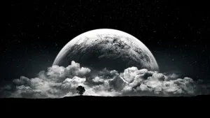 Enhanced Black Dope Clothing Line Wallpaper