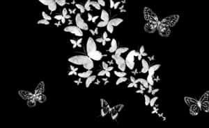 Enigmatic Dark Butterfly Wallpaper