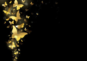 Enigmatic Dark Butterfly In The Moonlight Wallpaper