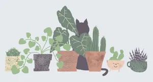 Enjoy A Plant Aesthetic Moment With This Stylish Laptop And Your Favorite Cup Of Caffeine. Wallpaper