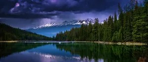 Enjoy A Pristine Blue-tinted Natural Scenery With A 3440x1440 Ultra-wide Wallpaper