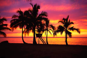 Enjoy A Romantic Beach Sunset. Wallpaper