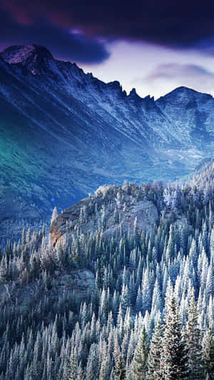 Enjoy A Tranquil Winter Scene On Your Iphone Wallpaper