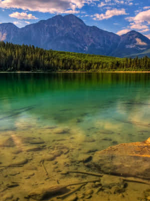 Enjoy Beautiful Nature On Your Ipad Wallpaper