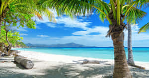 Enjoy Life And Soak Up The Summer! Wallpaper