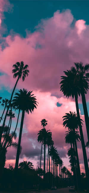 Enjoy Life In California With An Iphone Wallpaper