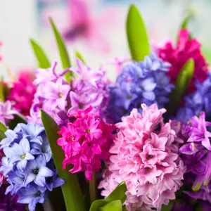 Enjoy Nature On Tech With Spring Ipad Wallpaper