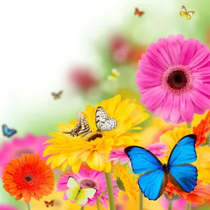 Enjoy Nature's Beauty With A Crisp, Refreshing Spring Wallpaper