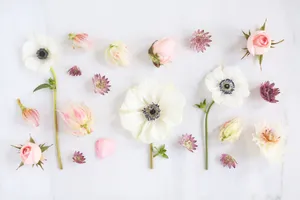 Enjoy Nature's Blooming Radiance Wallpaper