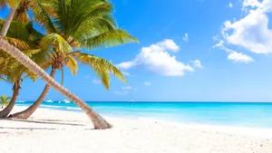 Enjoy Paradise At A Caribbean Beach Wallpaper