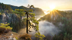 Enjoy The Beautiful Sunrise Over A Peaceful, Natural Landscape Wallpaper