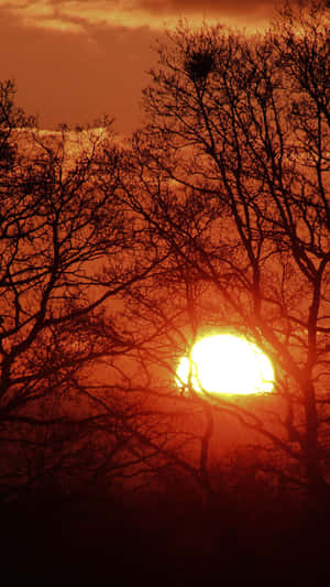 Enjoy The Beautiful Sunshine And Let Life Be Beautiful. Wallpaper