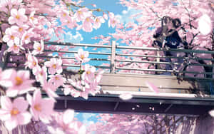 Enjoy The Beauty Of A Cherry Blossom-filled Landscape With This Peaceful Anime Scenery. Wallpaper