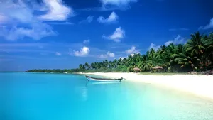 Enjoy The Beauty Of A Serene Beach Paradise Wallpaper