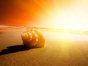 Enjoy The Beauty Of A Sunny Day Wallpaper