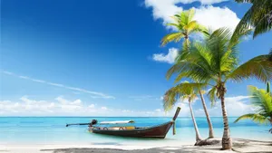 Enjoy The Beauty Of An Idyllic Caribbean Beach. Wallpaper