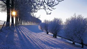 Enjoy The Beauty Of Every Season Wallpaper